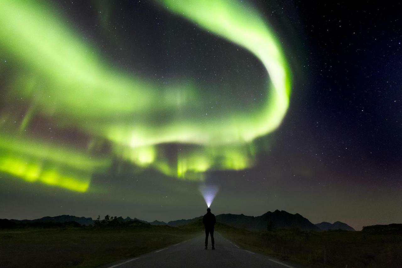 Lofoten Apartments Kabelvag Bagian luar foto